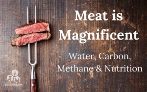 meat-is-magnificent-SD
