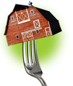 Farm-to-table-731225